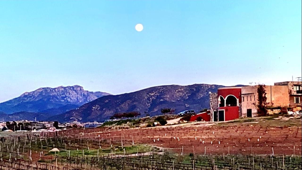 Finca Vidandrei Casa Mazahua Вале де Гуадалупе Екстериор снимка