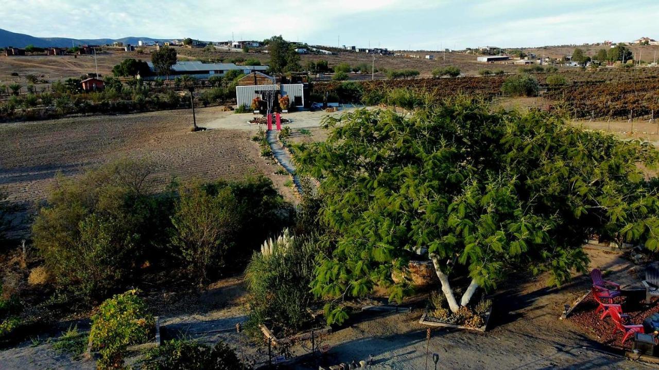 Finca Vidandrei Casa Mazahua Вале де Гуадалупе Екстериор снимка